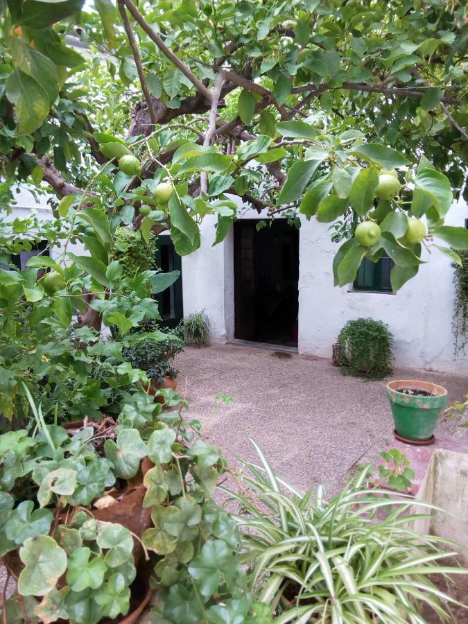 Las Jimenas Higuera De La Sierra  Exterior photo
